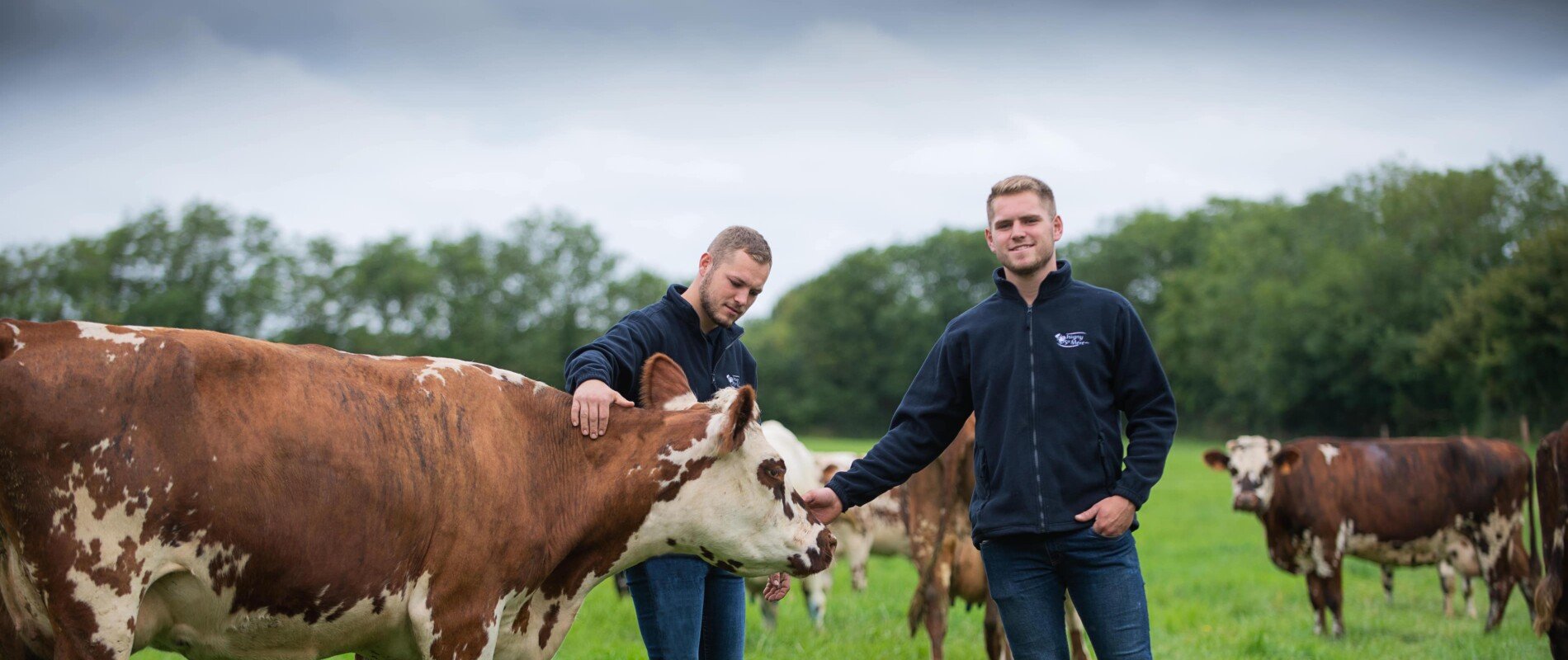 Image de cover représentant la page "Our Cooperative" de la société d'Isigny-Sainte-Mère