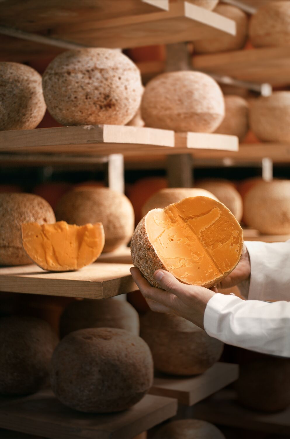 Mimolette dans une cave d'affinage Isigny Sainte-Mère