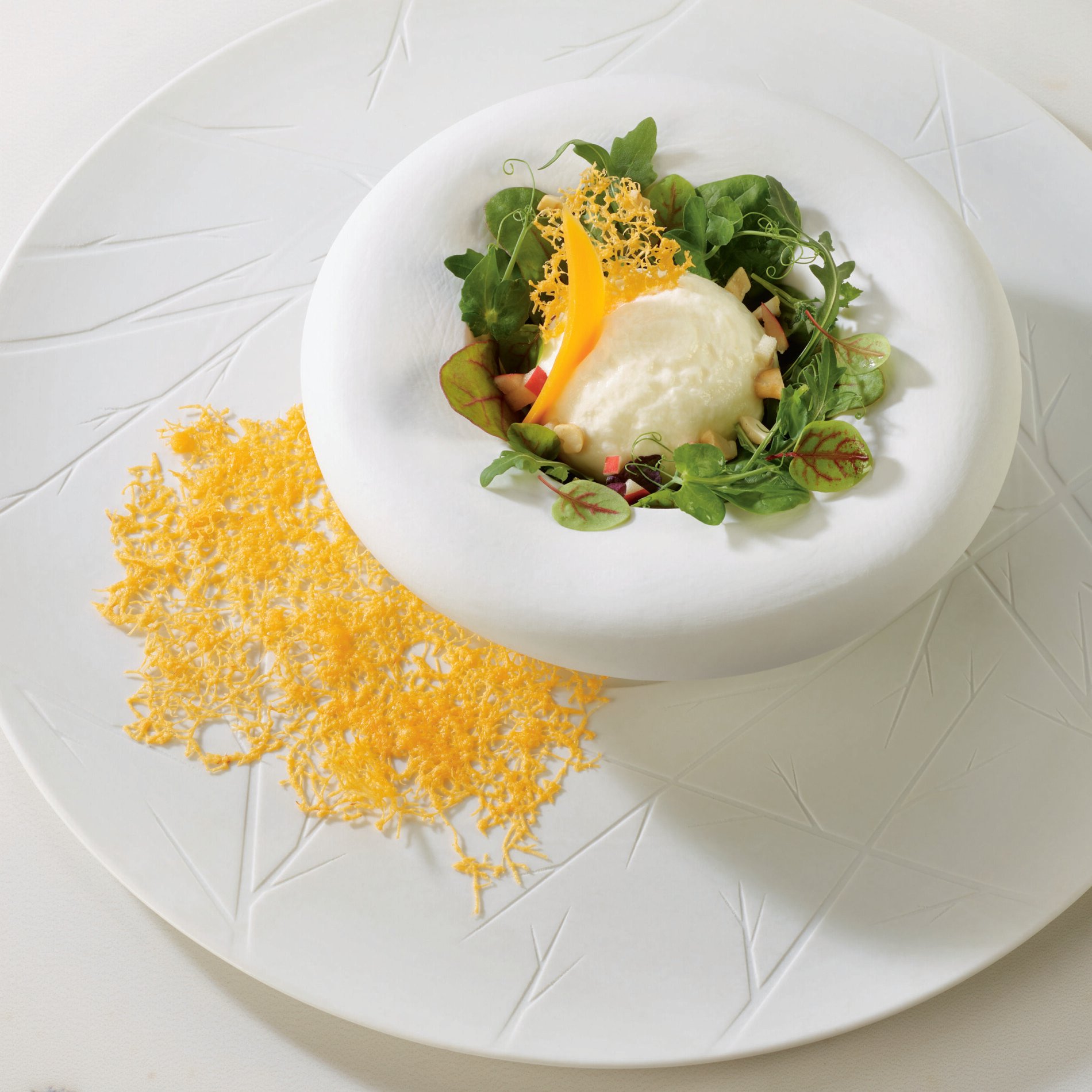 Image de cover représentant la page "Mousse légère au Camembert de Normandie et tuile de Mimolette par Anthony Caillot" de la société d'Isigny-Sainte-Mère