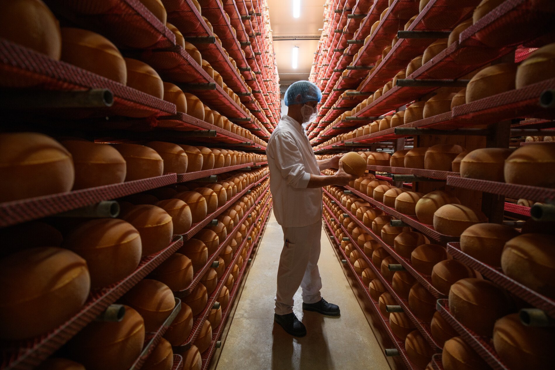 Homme dans une cave de Mimolette Isigny Sainte-Mère