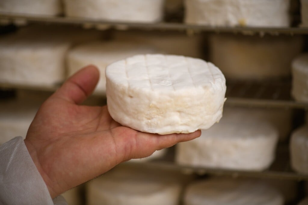 Oven-baked Camembert - Isigny Sainte-Mère