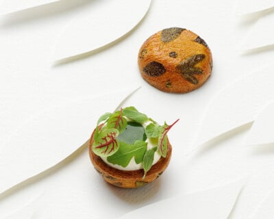 Recette Croissant Herbs de Edan Leshnick