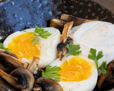 Assiette avec des oeufs mollets, champignons poêlés & préparation culinaire Crème et truffes noires